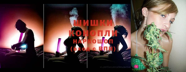 стафф Иннополис