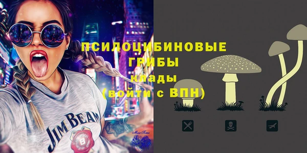 кристаллы Инта