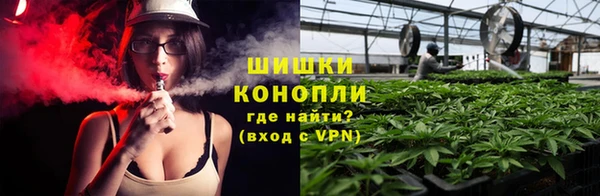 стафф Иннополис