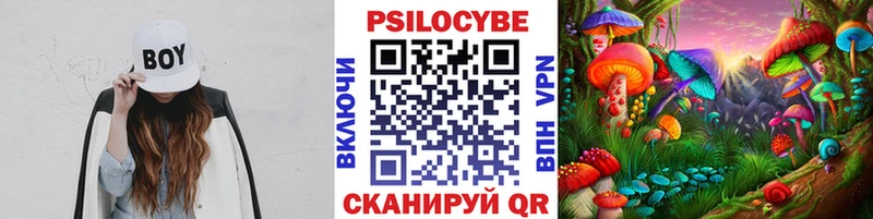 Галлюциногенные грибы прущие грибы  где продают наркотики  Катав-Ивановск 